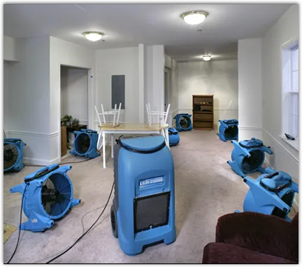 Basement Flood Cleanup in Scaggsville, MD