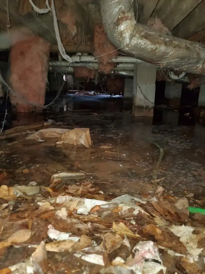 Crawl space flood assessment for Leak Detection & Repair in Scaggsville