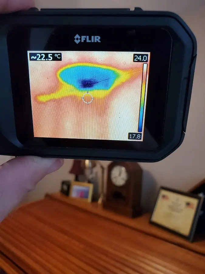Thermal imaging inspection for water damage in Scaggsville
